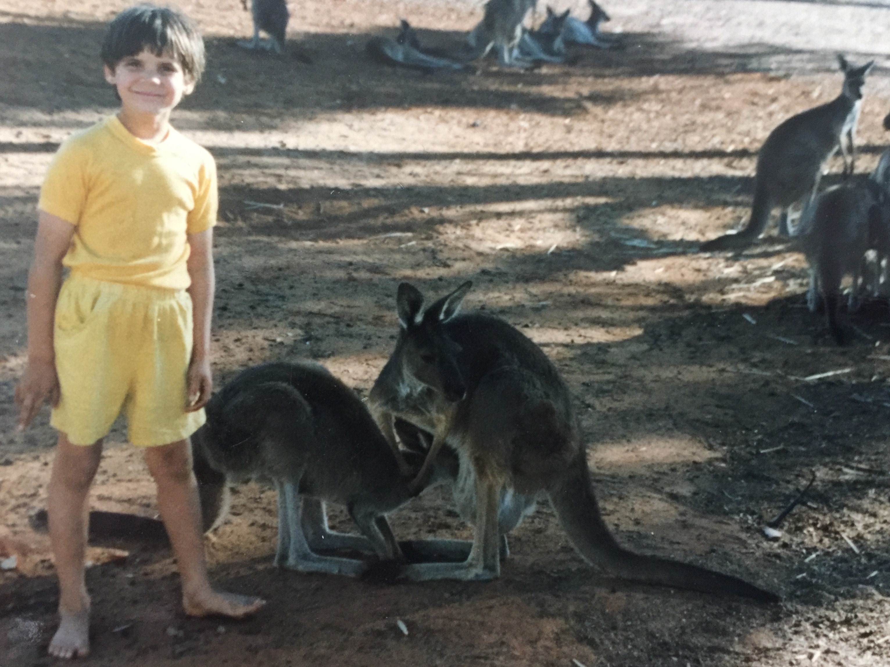 Lydia Williams and her kangaroos