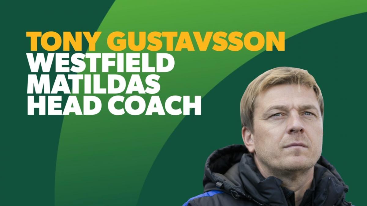 Tony Gustavsson's Coaching History